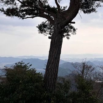 七種槍からの南の景色