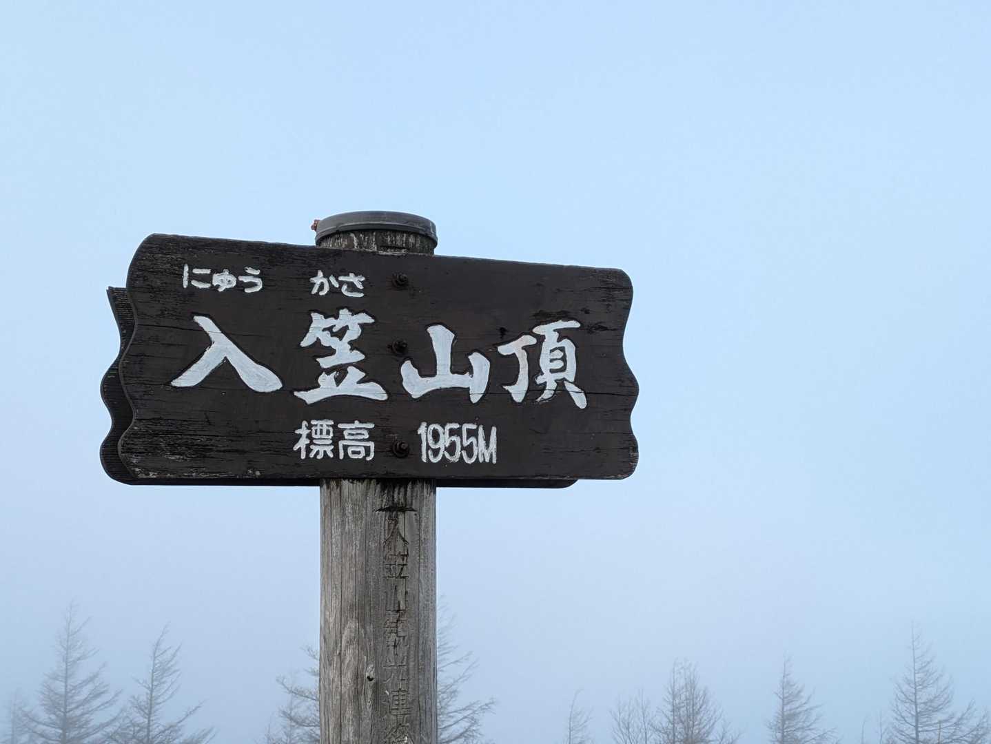 360°乳白色