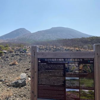 良い山でした！