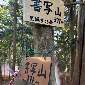 オニヤンマさんも居ました