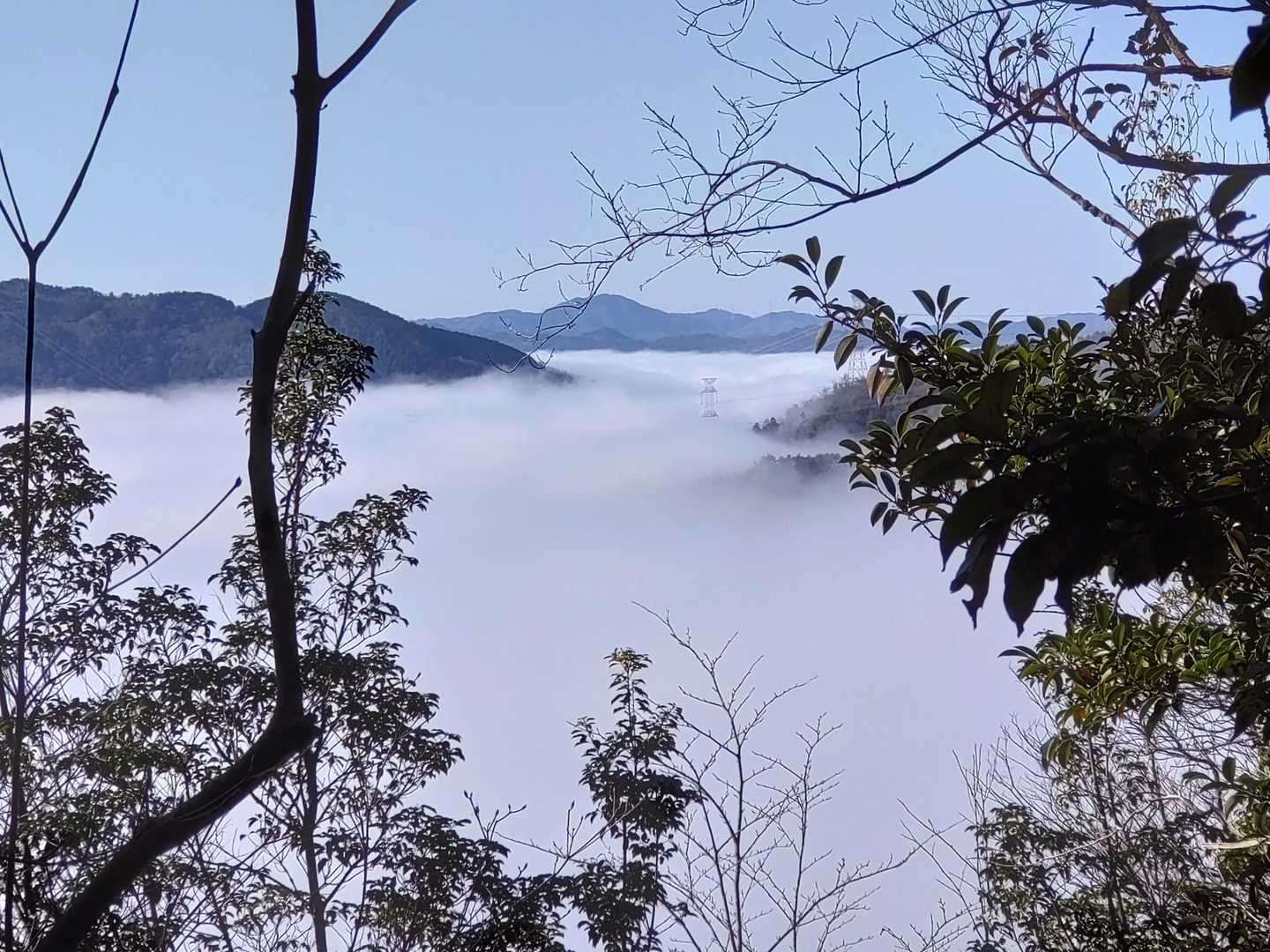 実は見事な雲海だった
この時期の亀岡盆地は雲海スポット