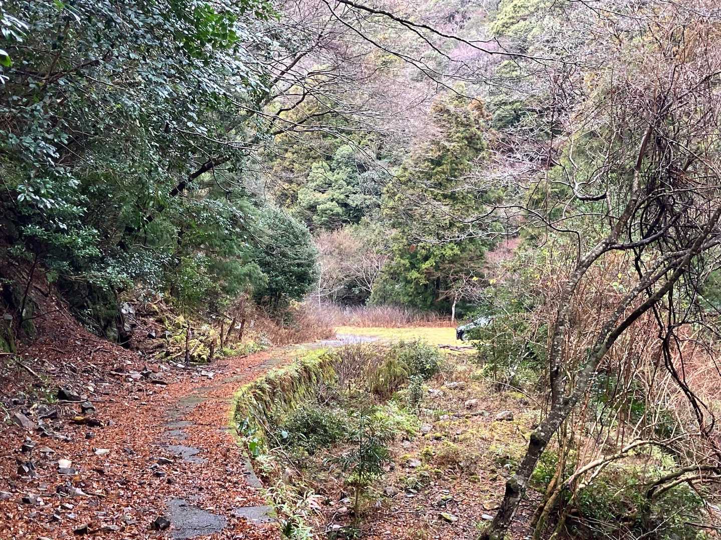 木の根っこでスリップしまくったけどコケることなく無事下山