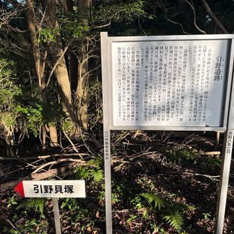 1周目に寄らなかった貝塚行ってみる。
まあ、山頂の後ろにすぐに有るんですが。😁

