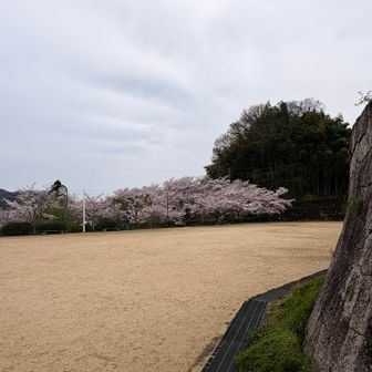 ゴールティン🏁🌸
おつかれ山⛰️
無事下山できました🙏✨