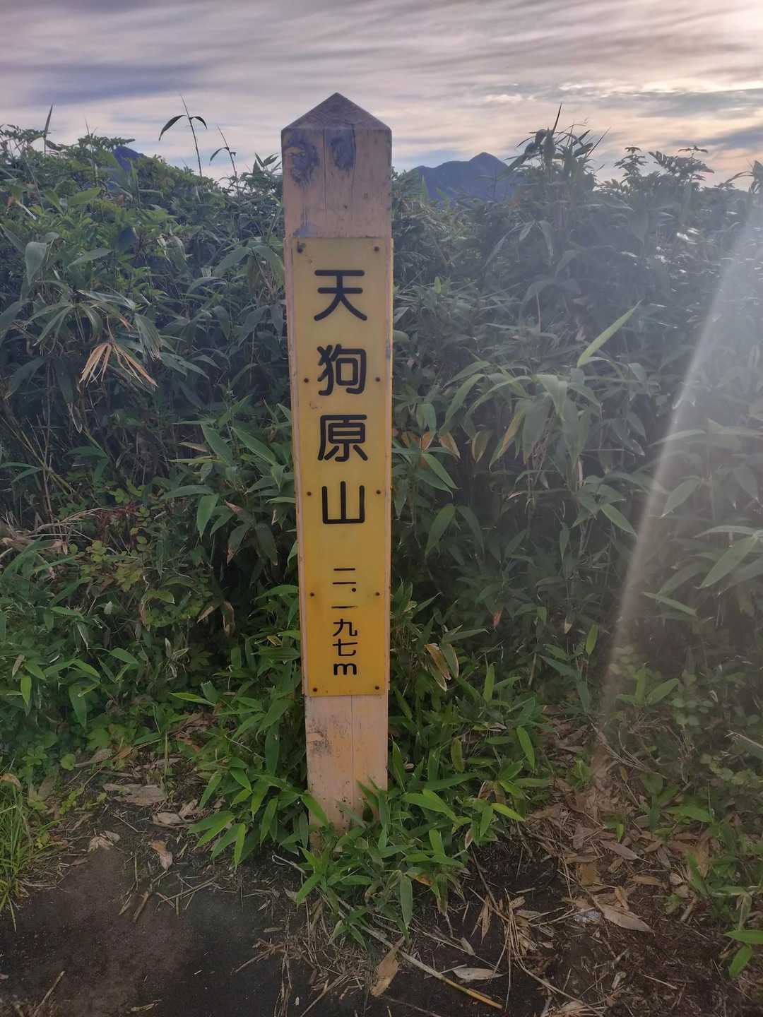 金山登山口-天狗原山 往復コースの写真