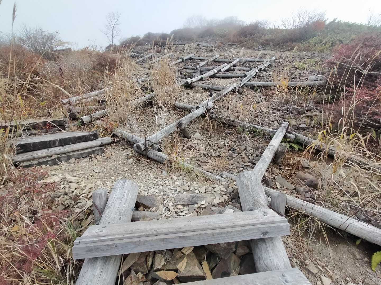 なんか凄い