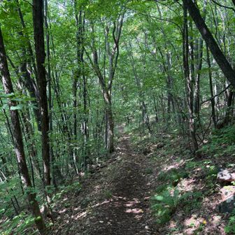 最初の登りでバテはじめる