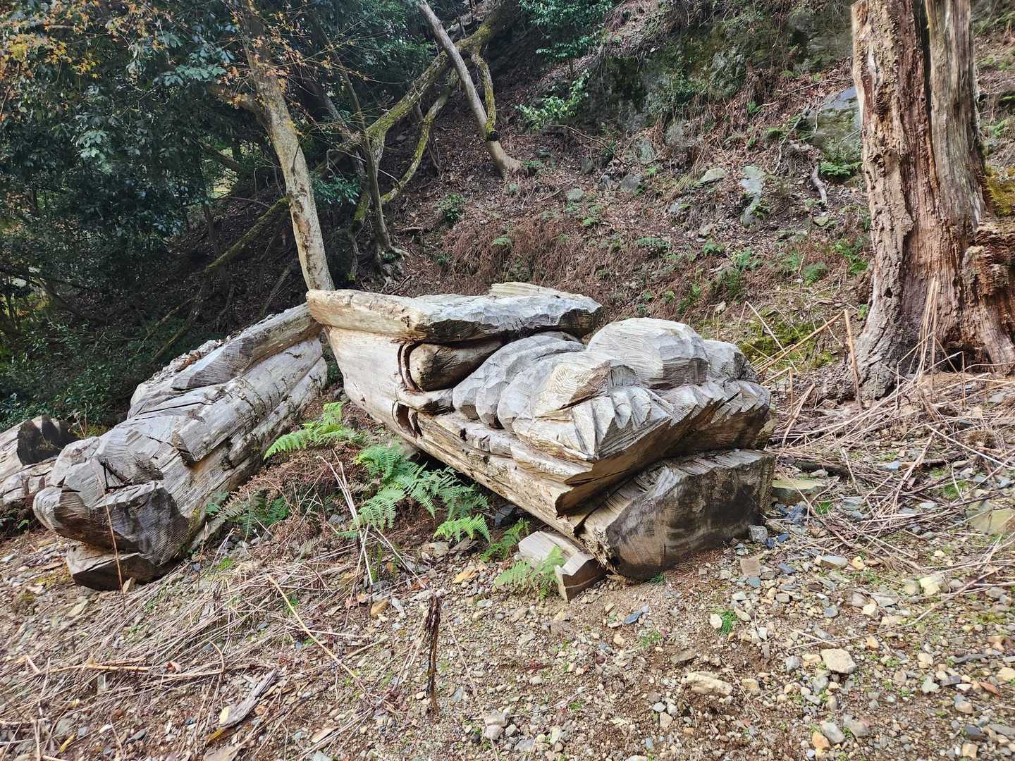 龍？