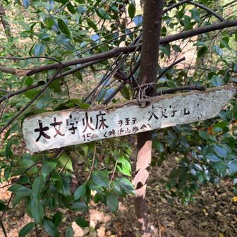 コレ！すぐ合流