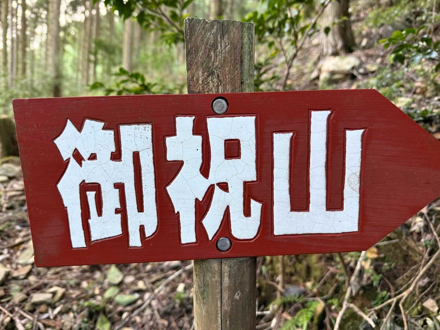 紅白でめでたい㊗️