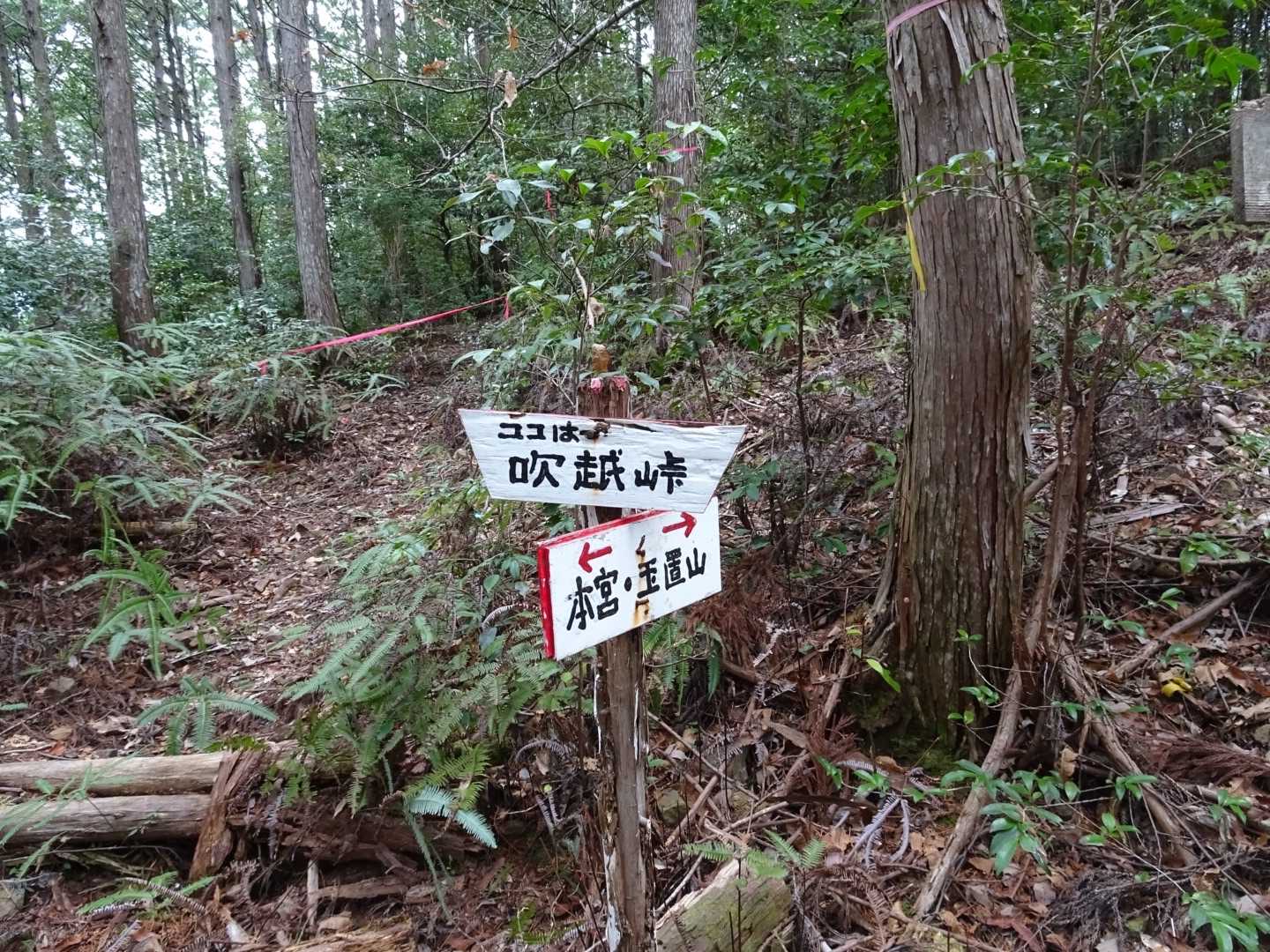 吹越山（和歌山県）の写真