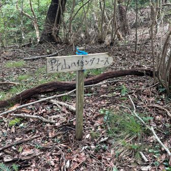 大岩山との分岐点に到着…遊山はもう少しです