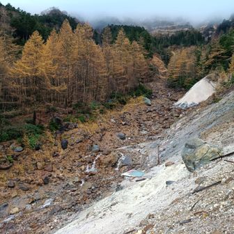 本沢温泉 雲上の湯