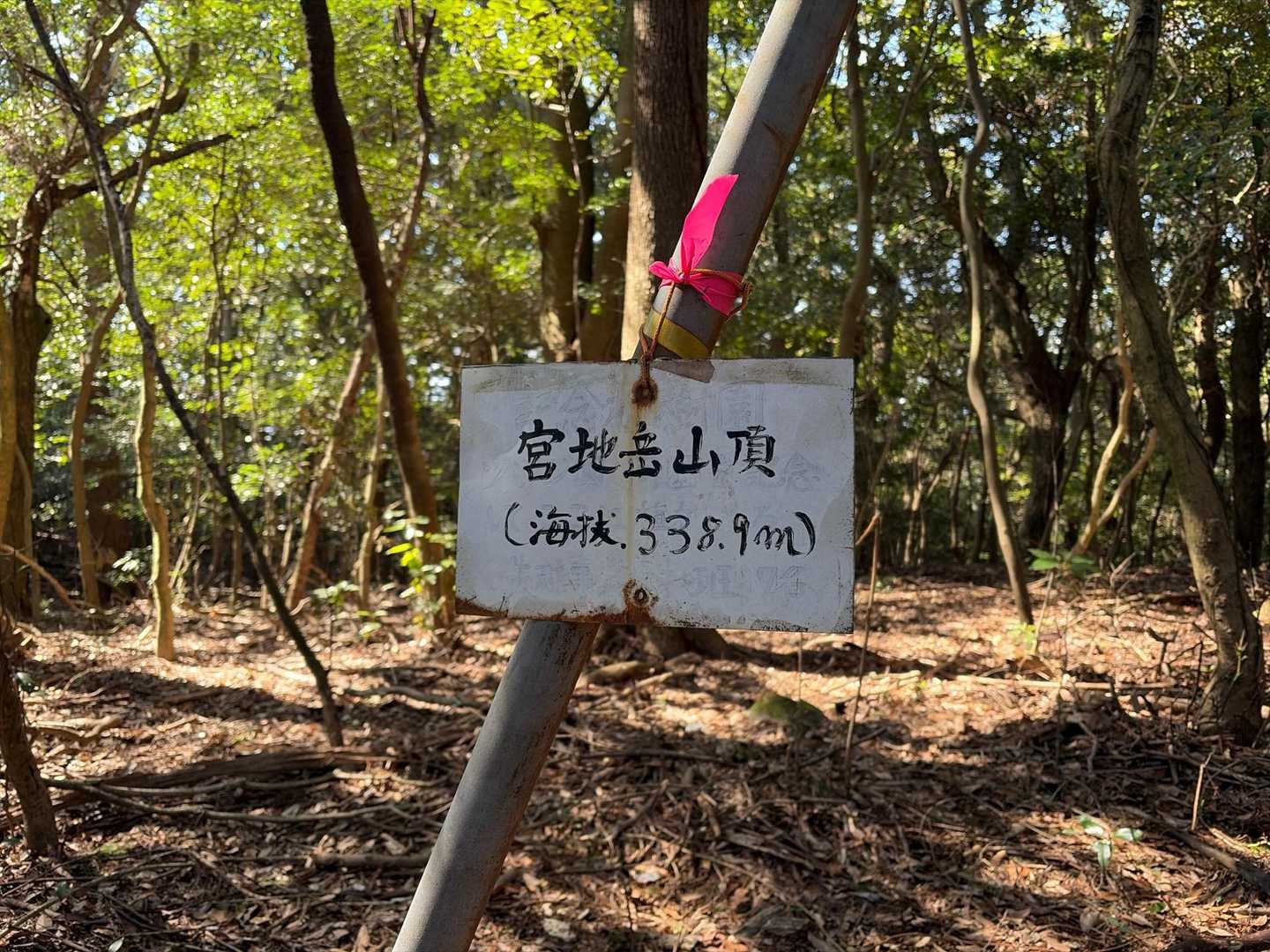 山頂標識のみ
