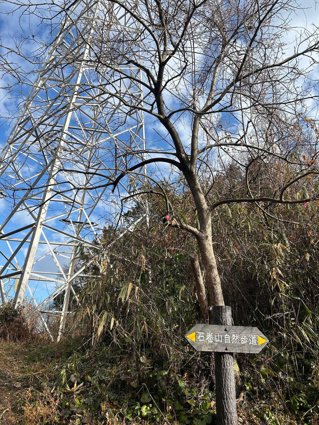 今回も雨上がりの晴れ☀️

遊歩道なので、体は直ぐにあたたまり
風は強くても、気持ちいい風です。