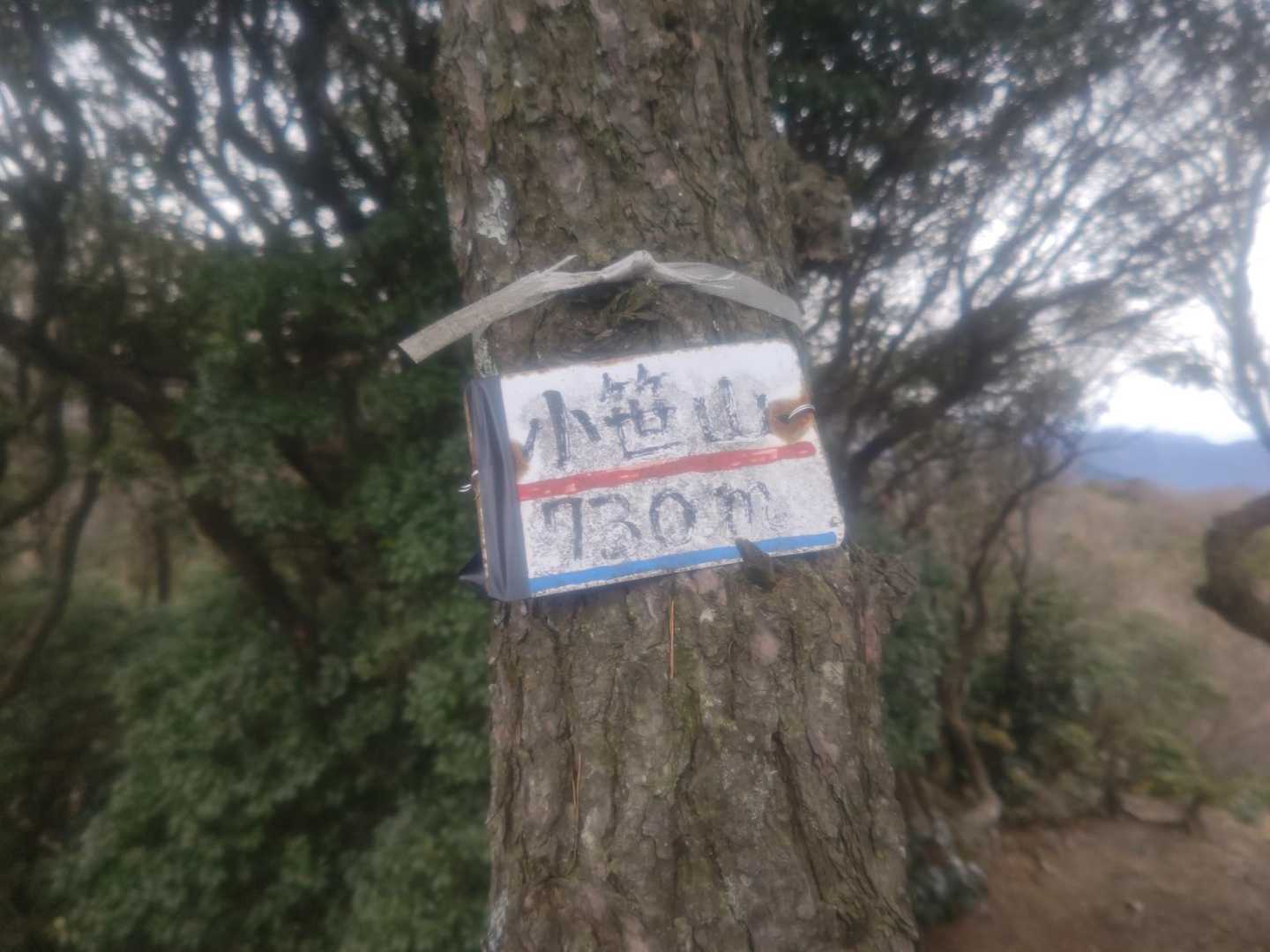 3度目の小笹山🚩