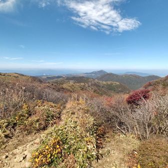 この辺りまで来ると風が強いです。