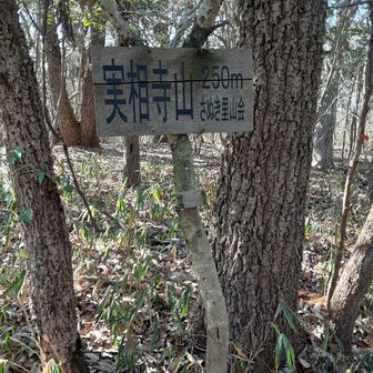 かなり要注意な山です！私の軌跡は危険です
