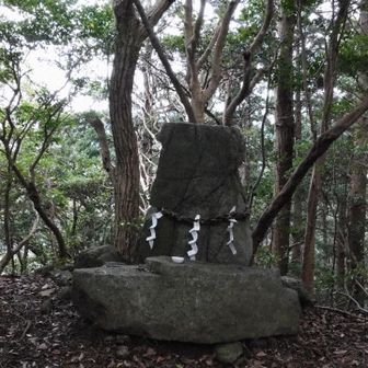 ここが砥神山の山頂