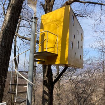 作品名「チーズハウス」
まさにって感じ(^^)

中には入れないようです。