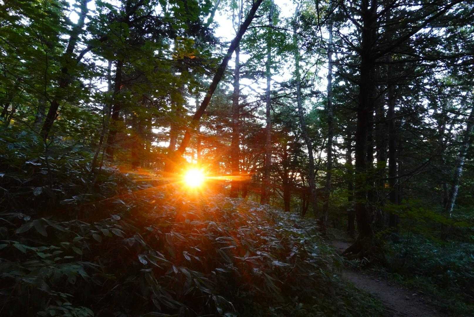 やっと太陽が登りました