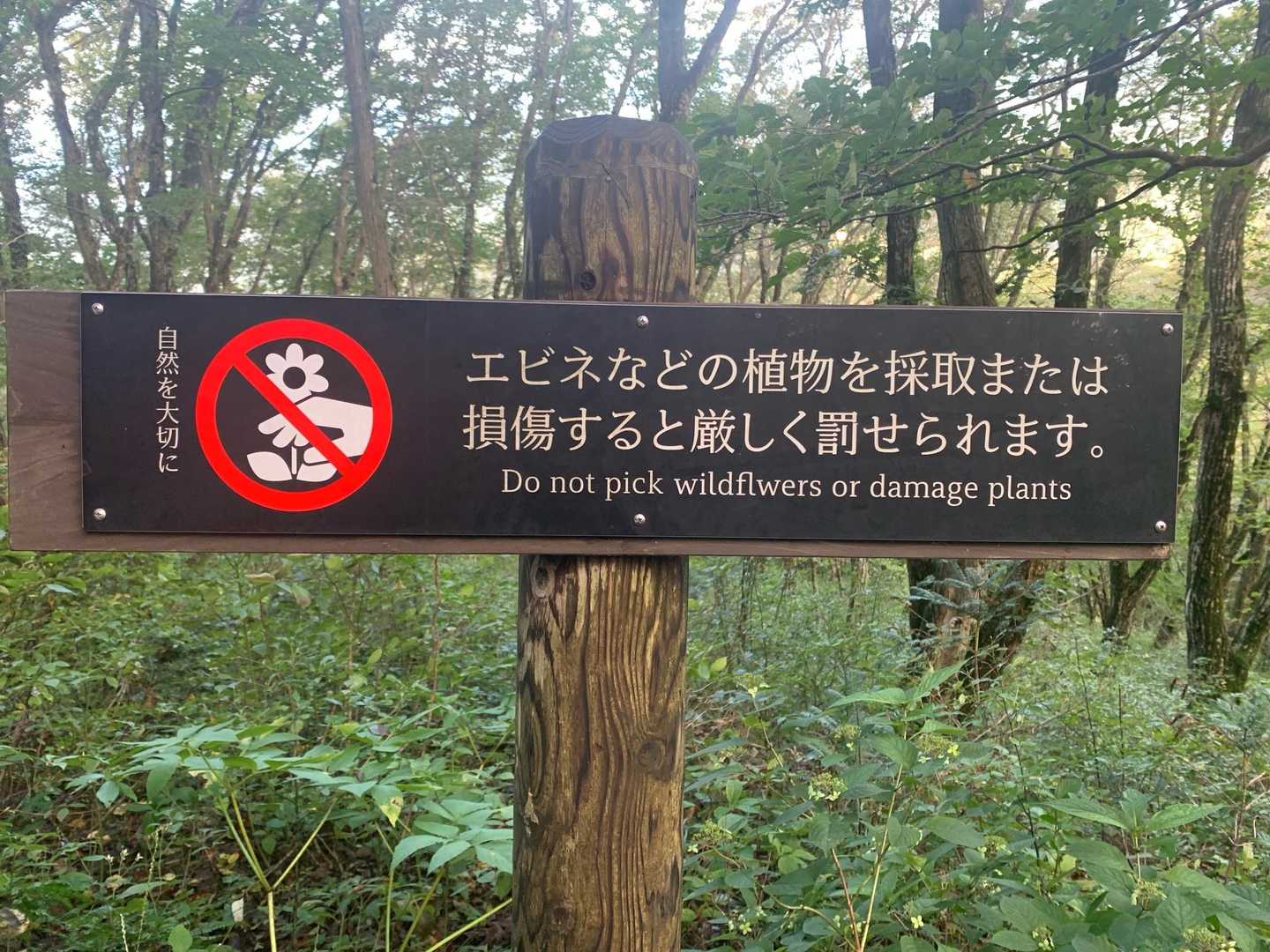 姫逃池登山口-男三瓶山 往復コースの写真