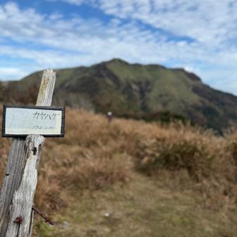奥に見えているのが三嶺です⛰️