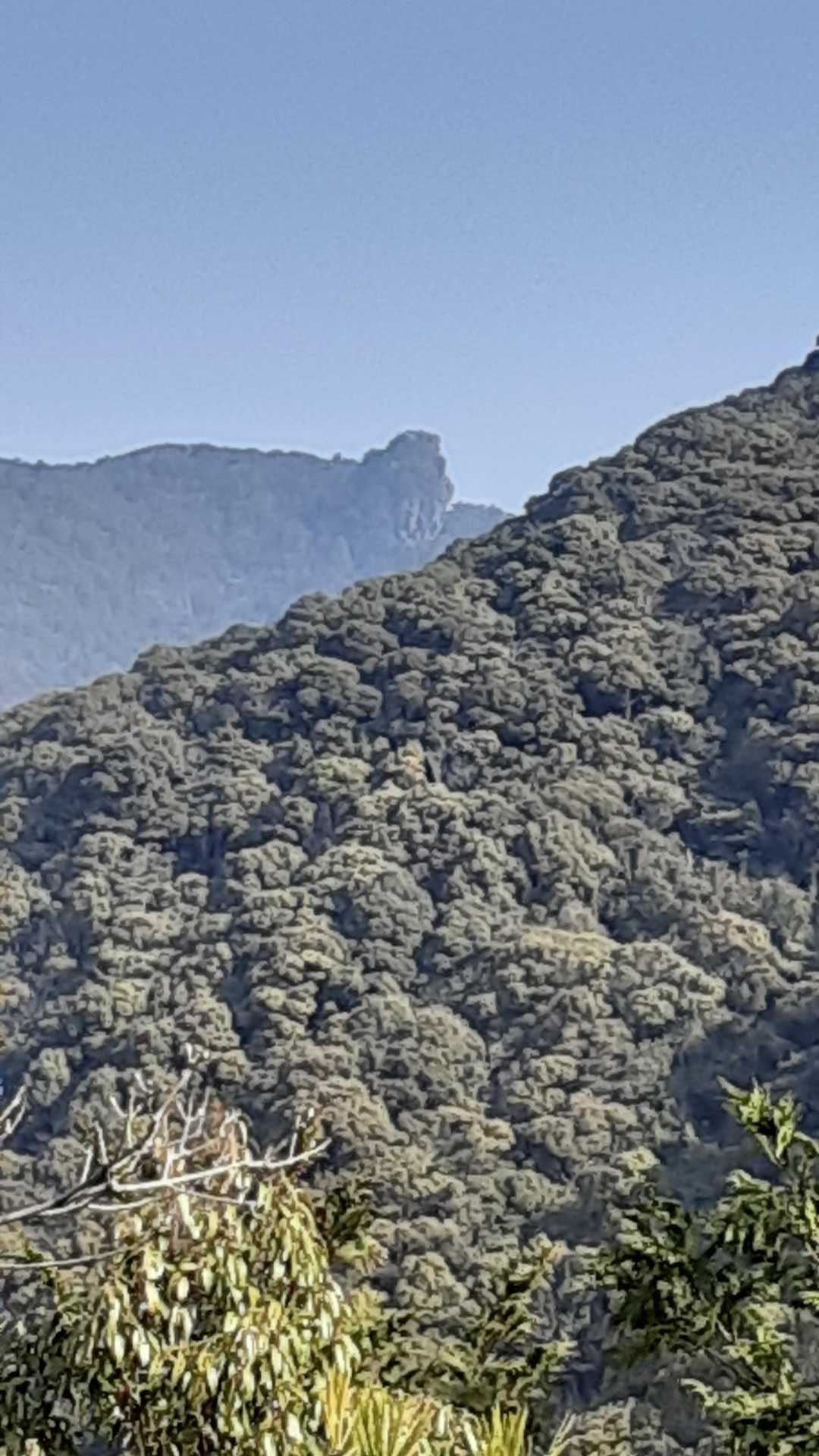 英山登山口-英山-本城岳-有田ダム登山口 周回コースの写真