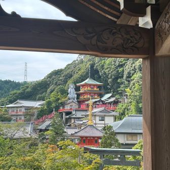 散策します