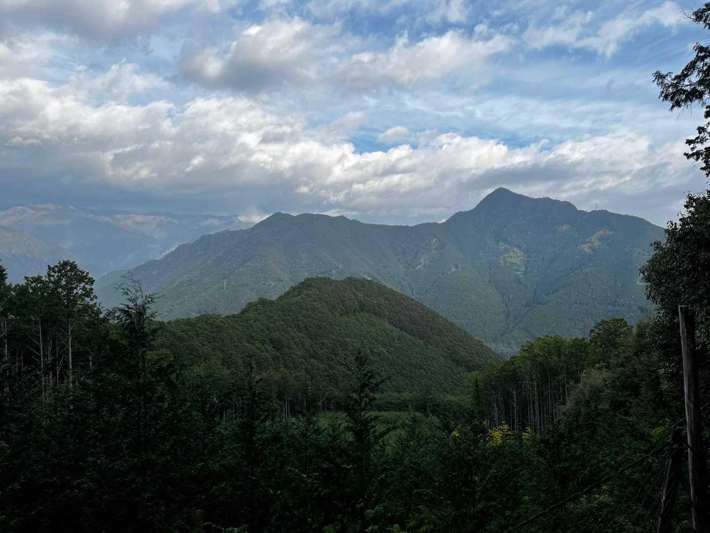 鷲下登山口-馬越峠-天狗倉山東峰-天狗倉山 往復コースの写真