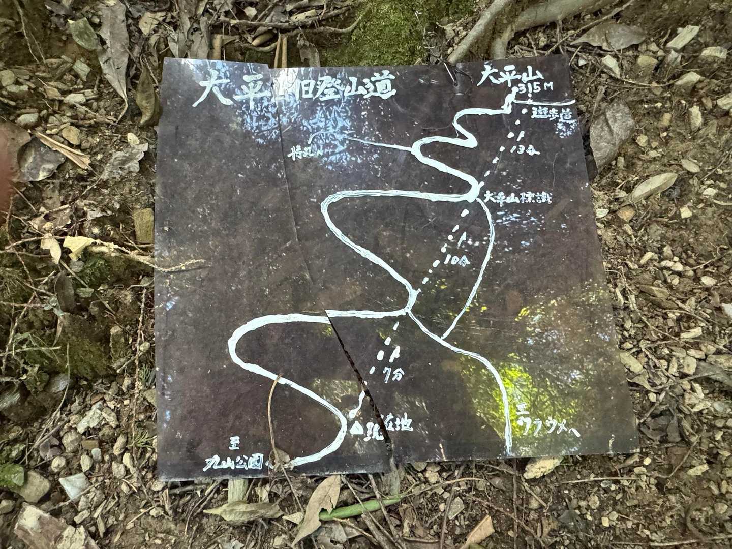 もちろん急登を選択👍
