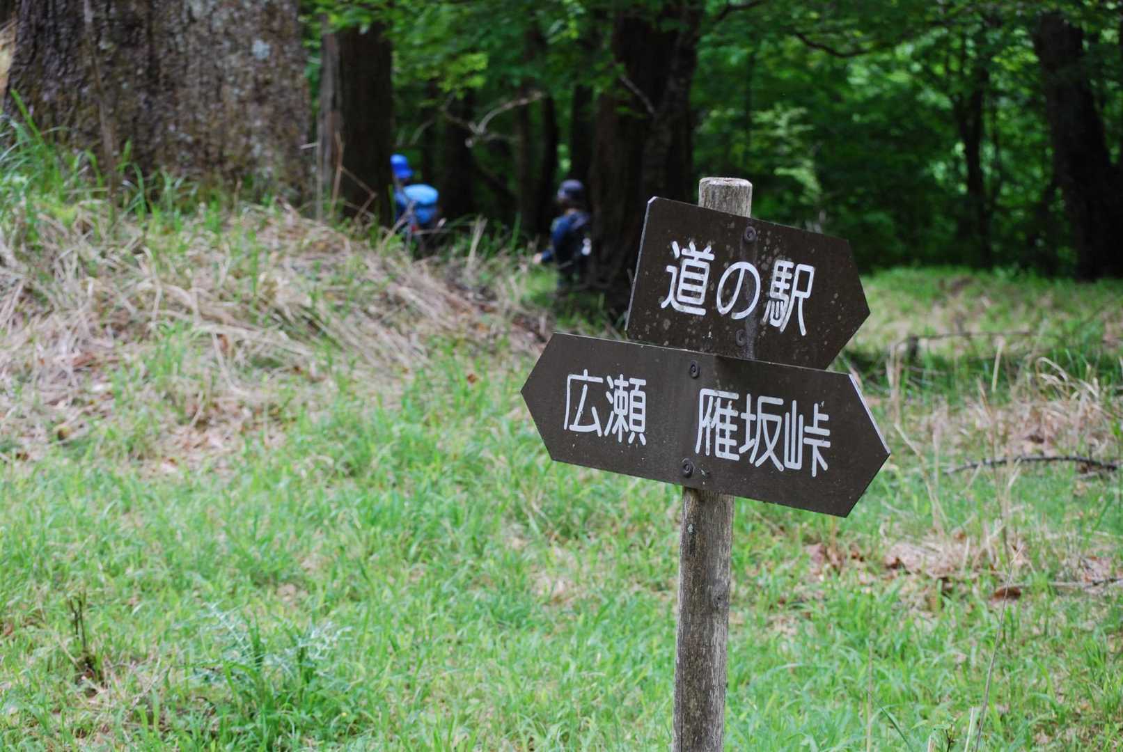 この標識が見えたら道の駅方面へ。また山道に入ります。