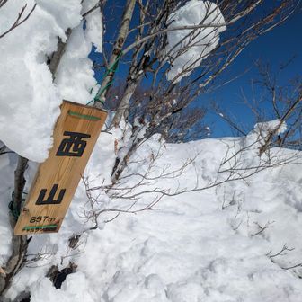 とうちゃこ。にしやま