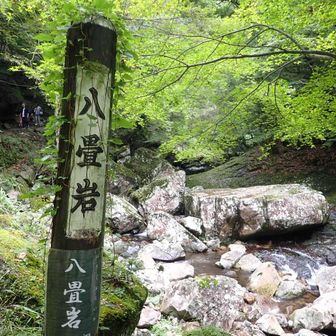 小さく見えますが…
八畳ですよ〜