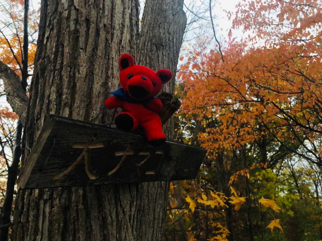 大ナマコ山に到着！