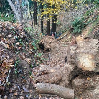 上部からの様子