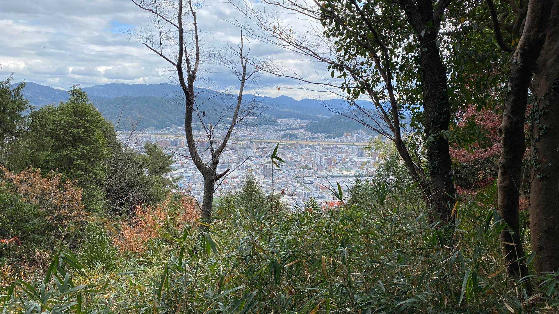 武田山 往復コースの写真