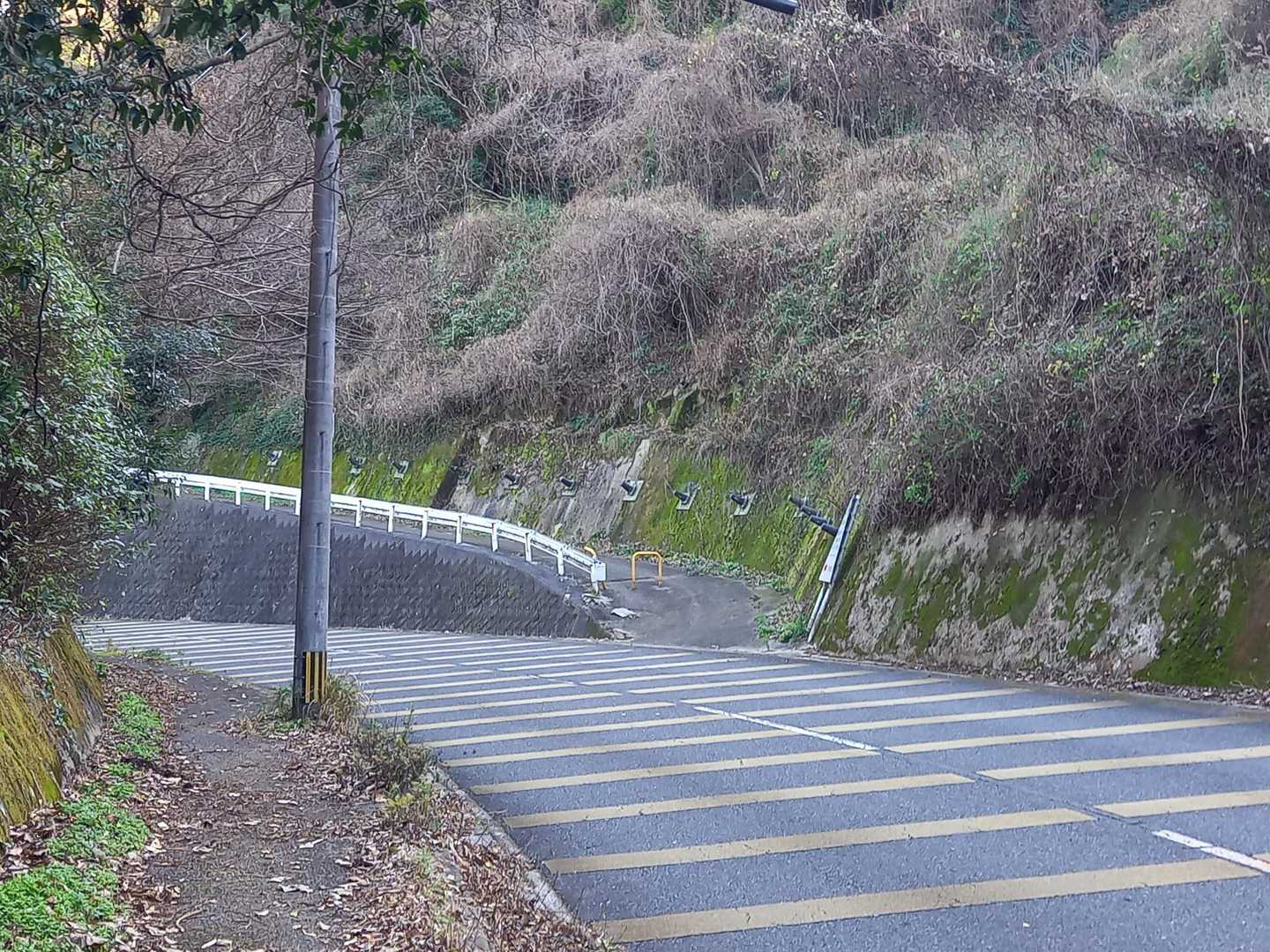 登山口は県道脇です