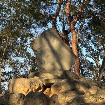 コノハナサクヤヒメ（木花咲(開)耶姫）は、日本神話に登場する桜のように美しく儚い女神で、天照大神の孫であるニニギノミコトの妻。

コノハナサクヤヒメが富士山から桜の種を撒き
日本に桜が広まったという伝説🌸✨