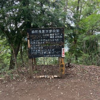 雄岳に到着🐾