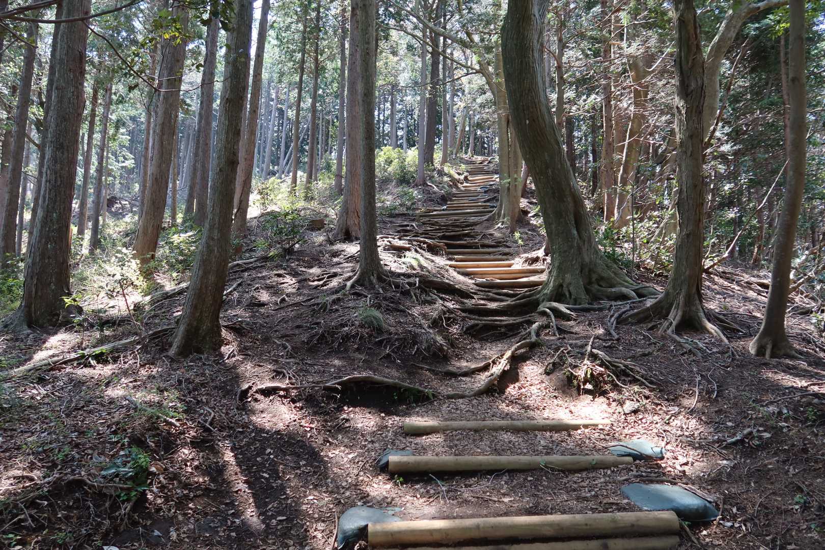 蓑毛バス停-蓑毛越-不動越-高取山-念仏山-善波山-善波峠 縦走コースの写真