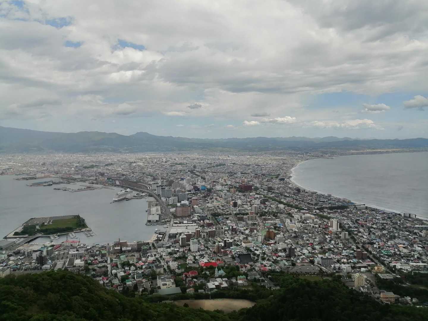 これは花は無い💦