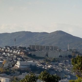 山頂からの眺め