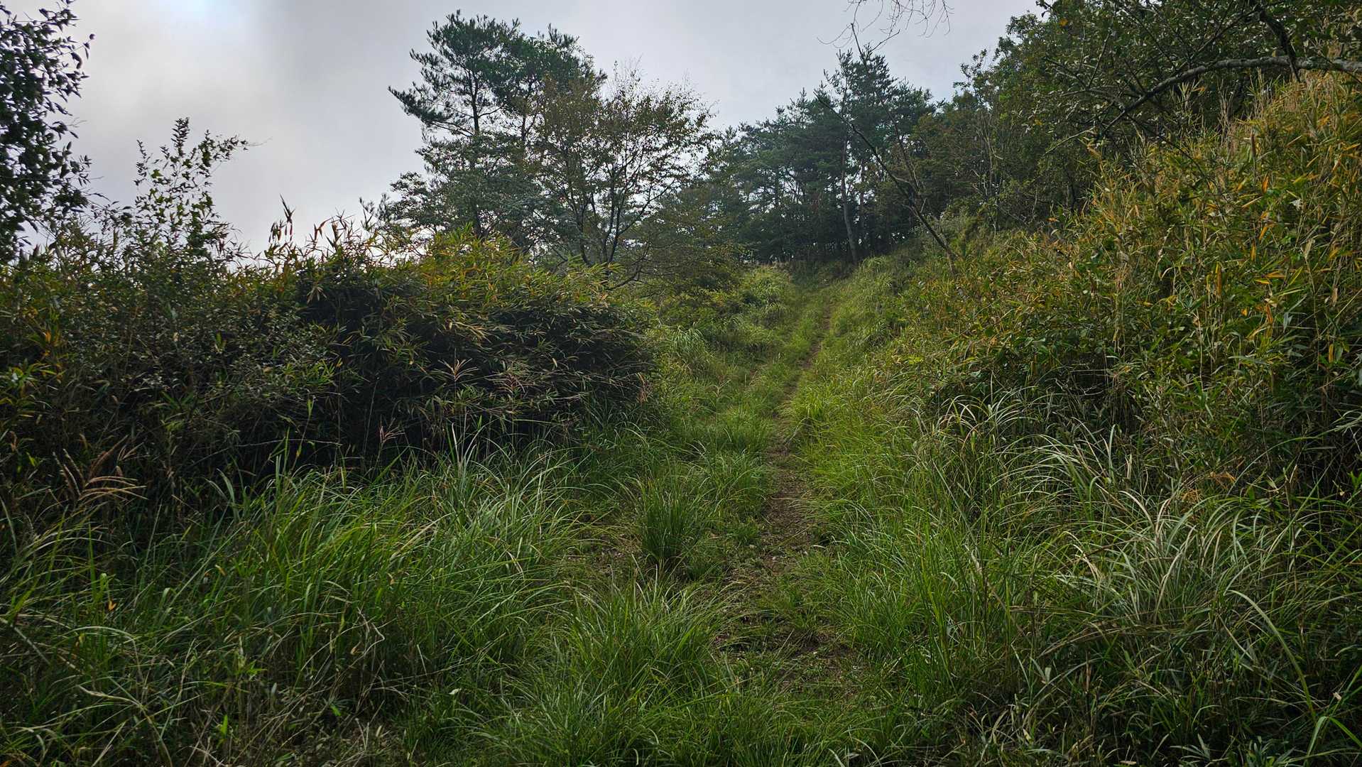 月出山岳登山口-月出山岳-月出山岳 往復コースの写真
