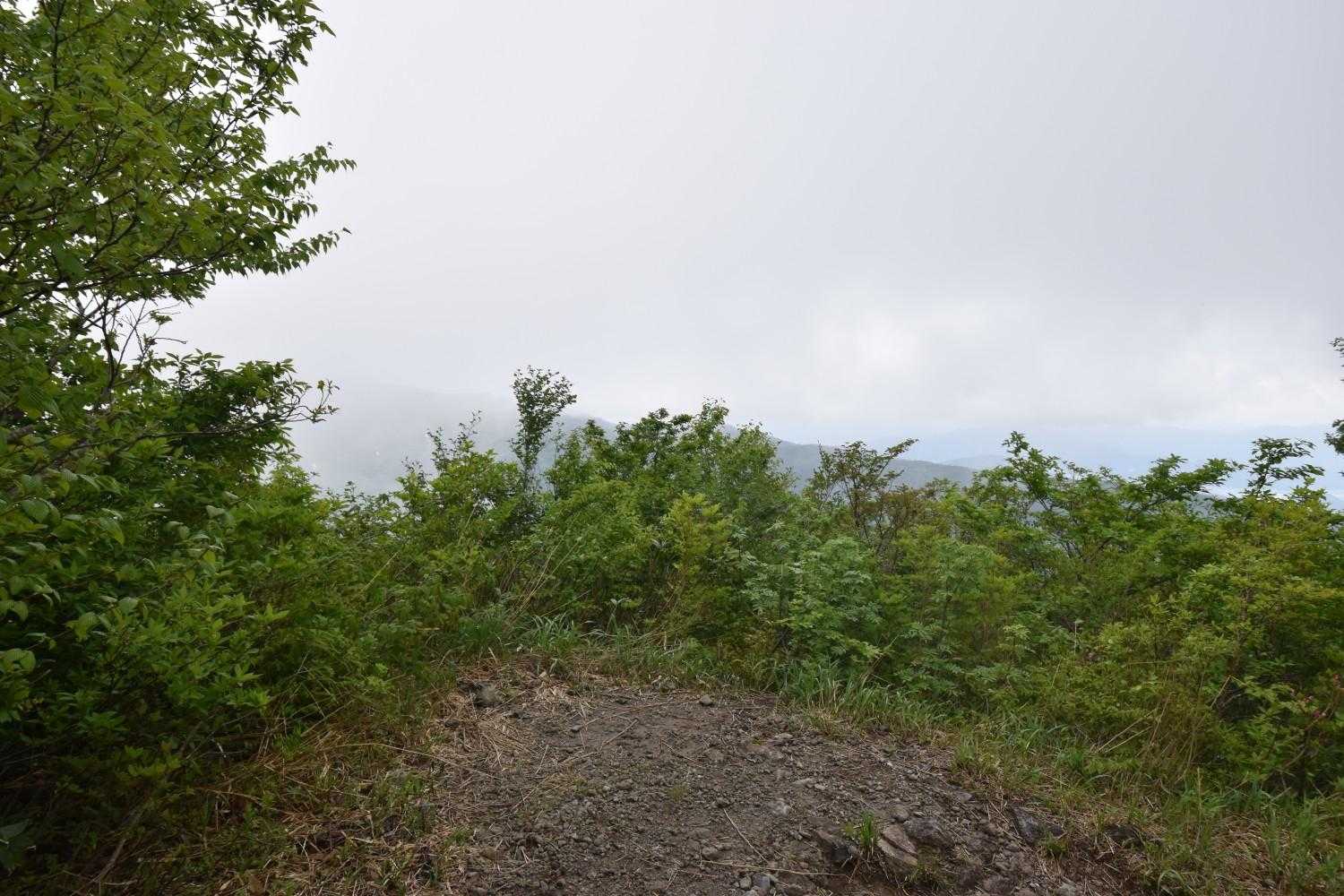 取立山登山口-取立山 往復コースの写真