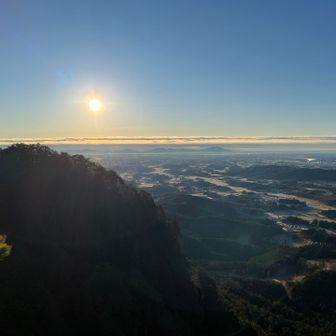 すっかり登りました☀️