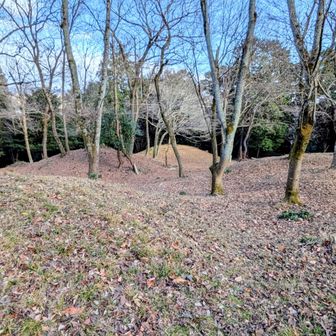 こんもりとしてるのは全て古墳なのかな
古墳ってお墓だけど上を歩いて大丈夫🙄