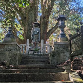一本杉庵