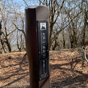 ⑨大洞山、1384m
展望なし。本日最高峰。結構登ってきました。