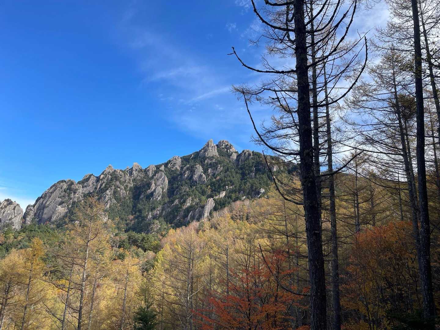 山頂が綺麗に見えた🤩